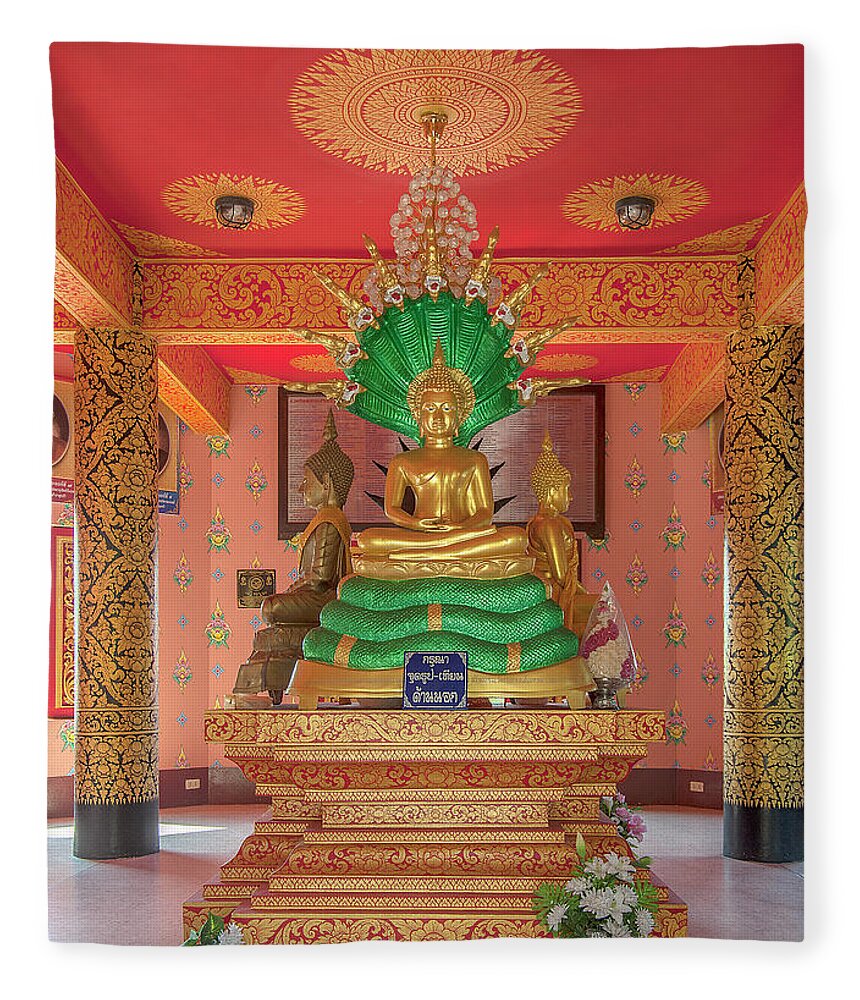Scenic Fleece Blanket featuring the photograph Wat Pak Thang Phra That Chedi Interior DTHCM2155 by Gerry Gantt