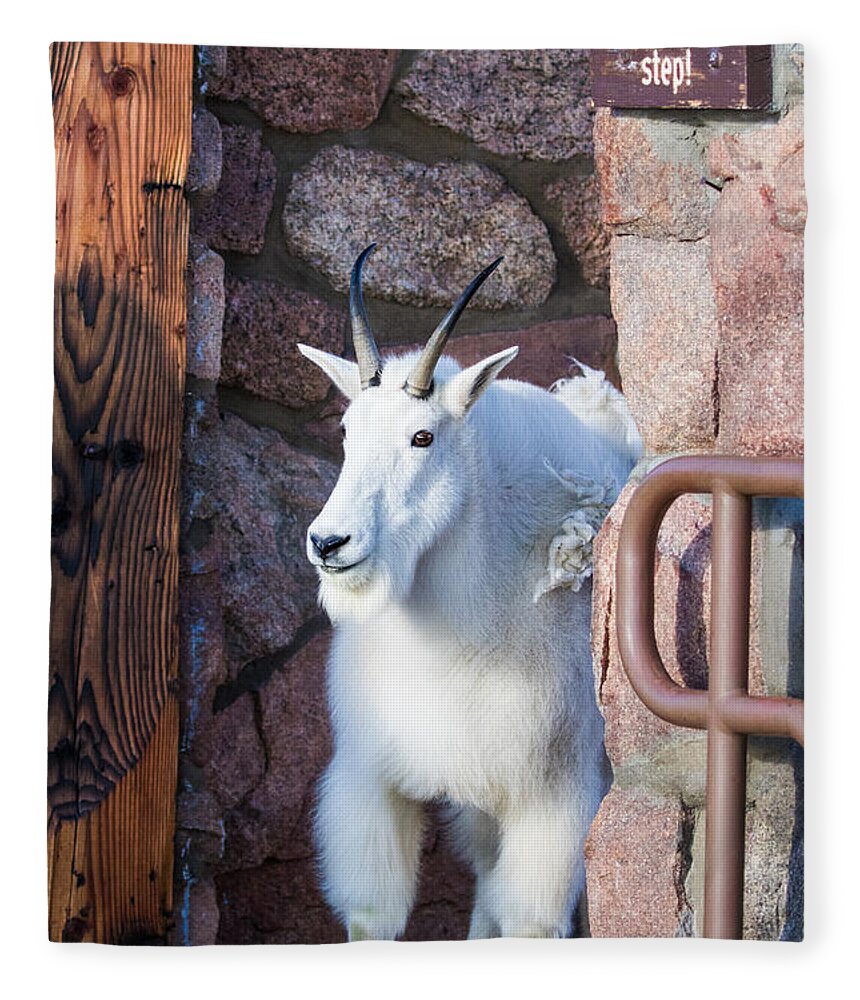 Mountain Goat Fleece Blanket featuring the photograph Watch Your Step by Mindy Musick King