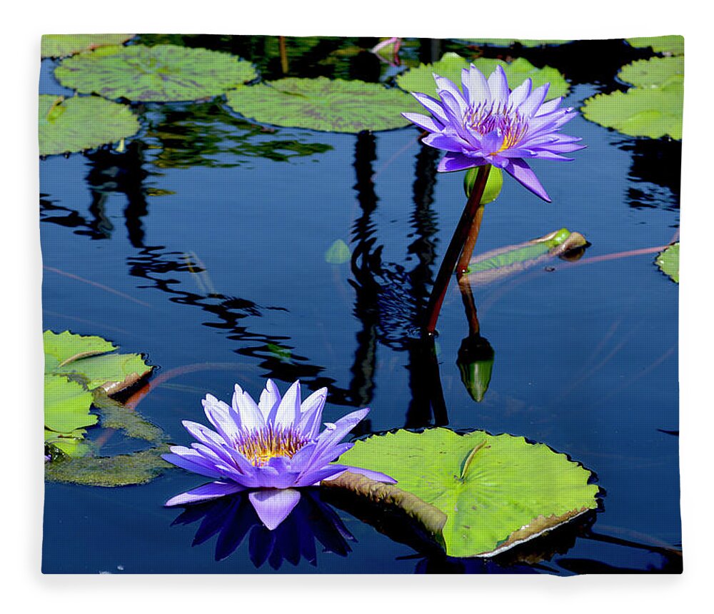 Water Lily Fleece Blanket featuring the photograph Water Lily by Lisa Blake