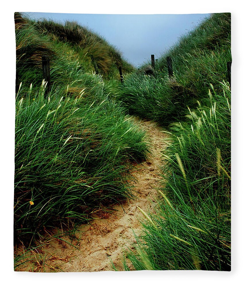 Beach Fleece Blanket featuring the photograph Way Through The Dunes by Hannes Cmarits