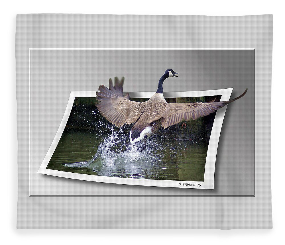 2d Fleece Blanket featuring the photograph We Have Liftoff by Brian Wallace
