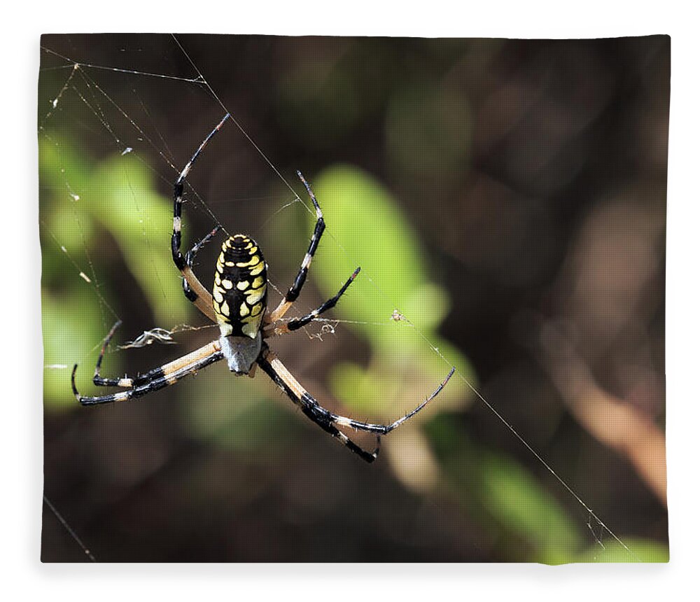 Arachnid Fleece Blanket featuring the photograph Web Builder by Travis Rogers