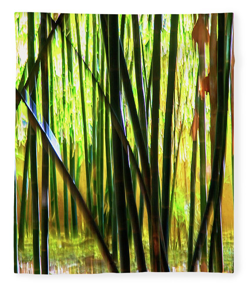 Bamboo Fleece Blanket featuring the photograph Welcome to the Bamboo Jungle by Rene Triay FineArt Photos
