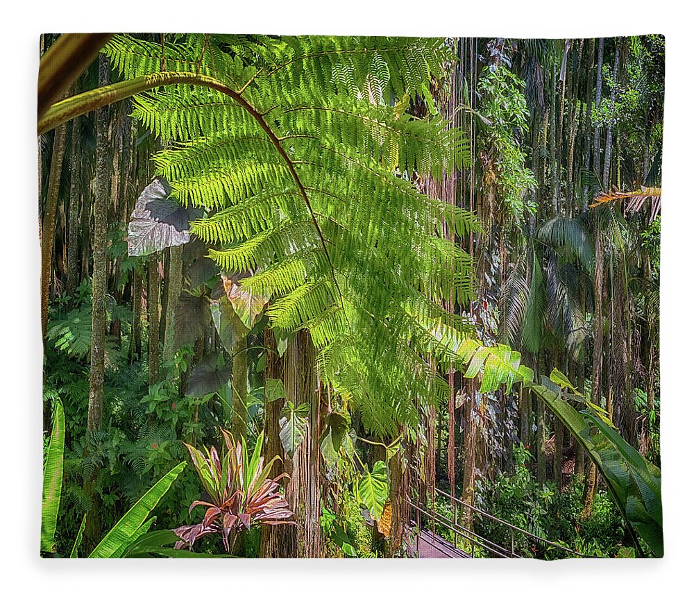 Hawaii Tropical Botanical Garden Fleece Blanket featuring the photograph Welcome to the Jungle 2 by Susan Rissi Tregoning