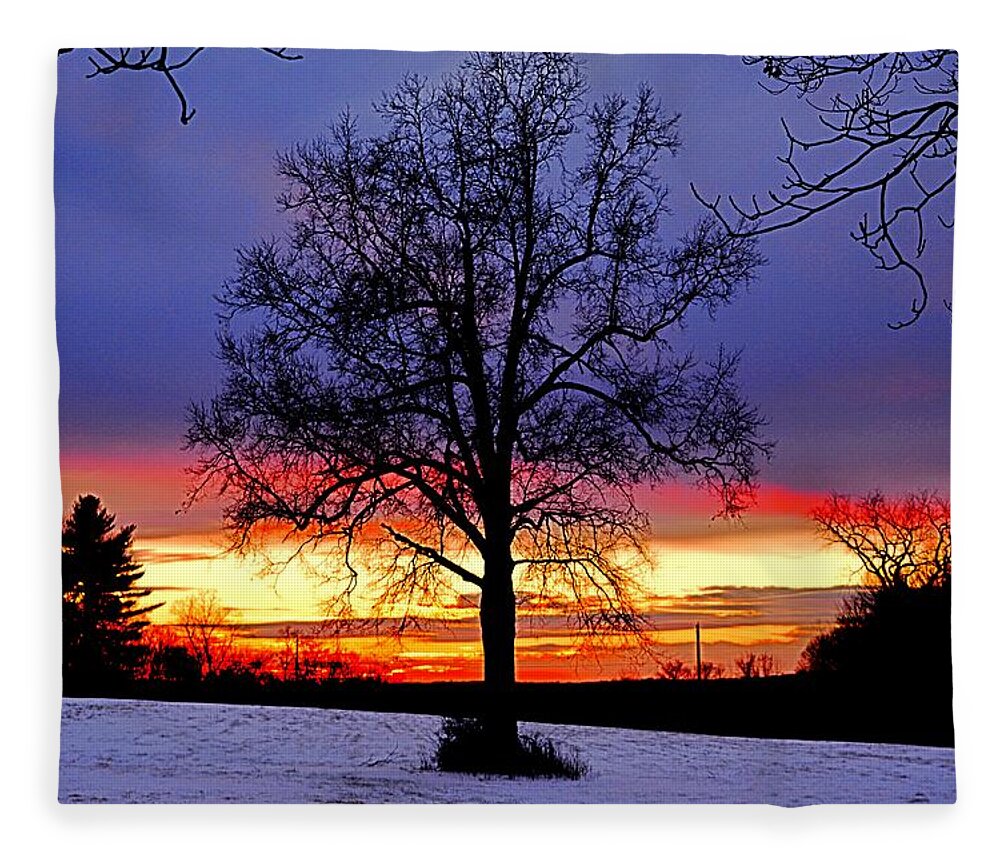 Sunset Fleece Blanket featuring the photograph West by Dani McEvoy