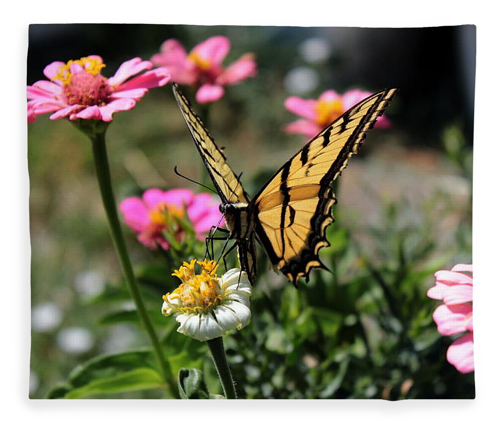 Western Tiger Swallowtail Fleece Blanket featuring the photograph Western Tiger Swallowtail 1 by Jean Evans