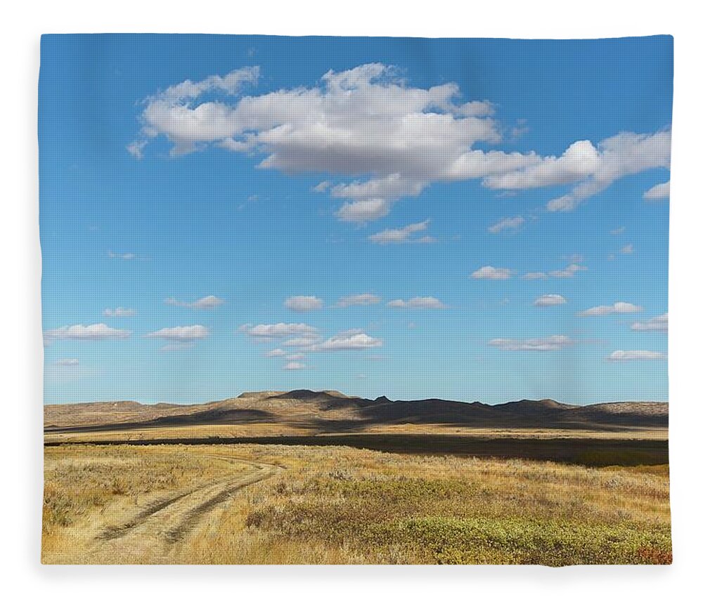 Canada Fleece Blanket featuring the photograph What Was Once A Road by Allan Van Gasbeck