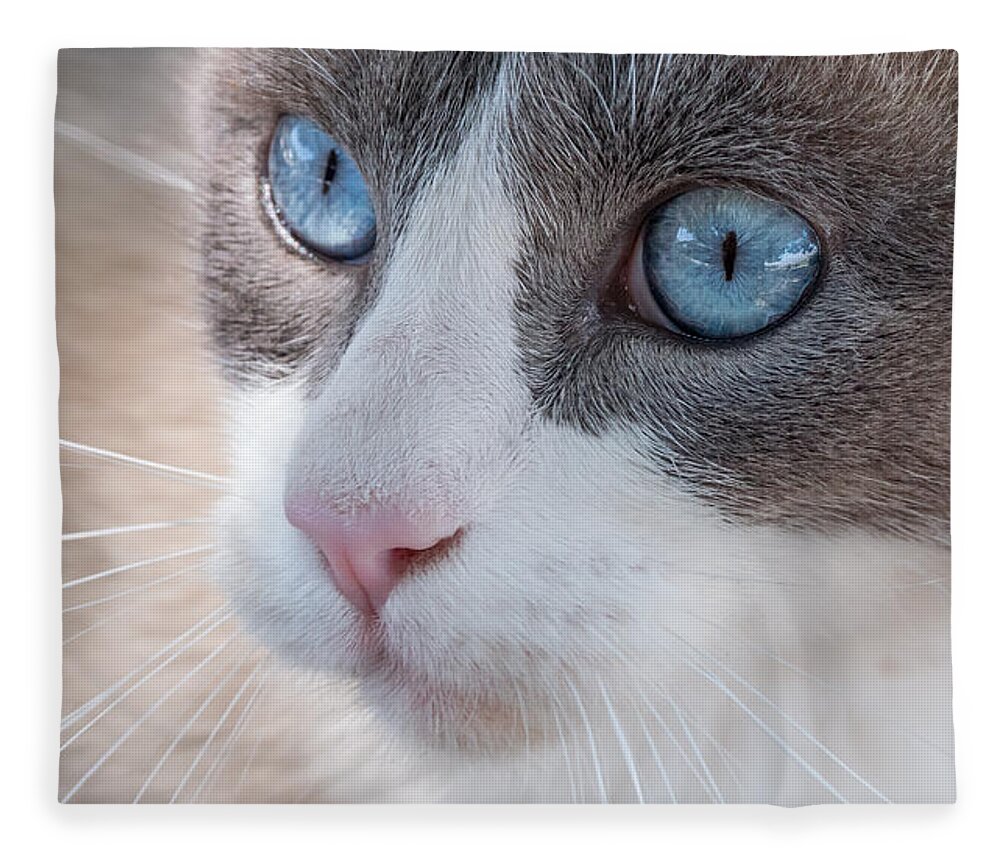 Cat Fleece Blanket featuring the photograph Whiskers by Derek Dean