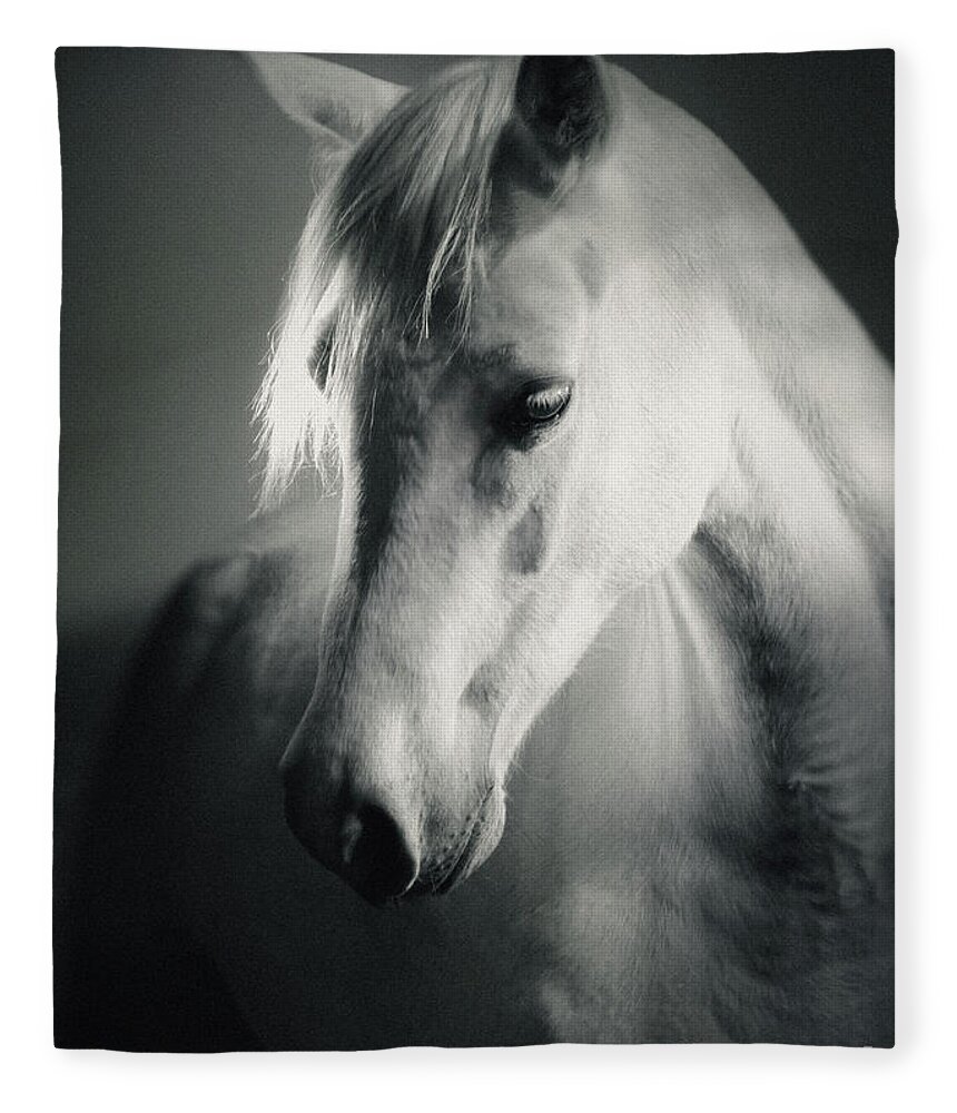 Horse Fleece Blanket featuring the photograph White Horse Head Art Portrait by Dimitar Hristov