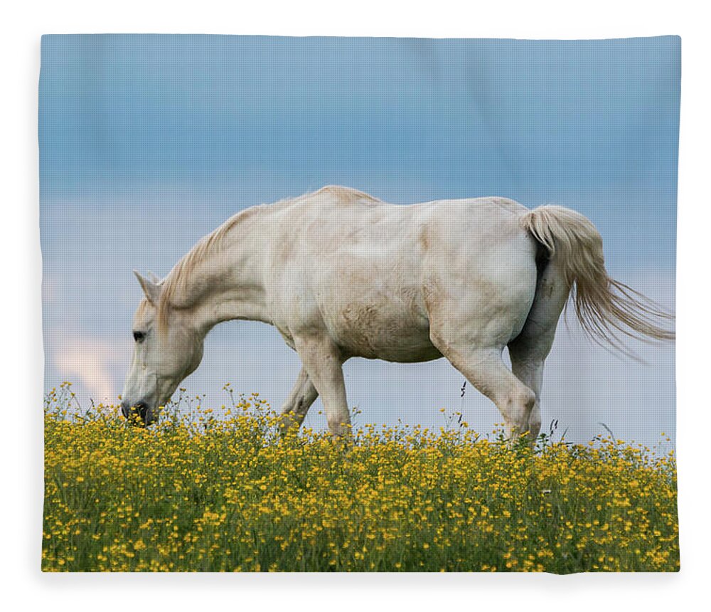 Horse Fleece Blanket featuring the photograph White Horse of Cataloochee Ranch 2 - May 30 2017 by D K Wall