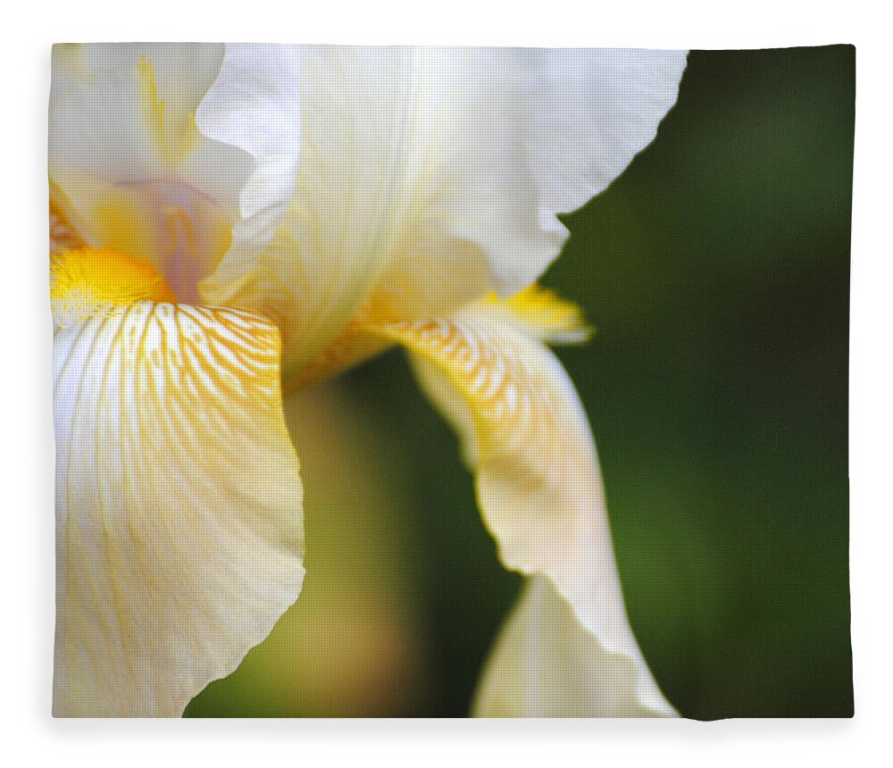 Iris Fleece Blanket featuring the photograph White Iris I by Jai Johnson
