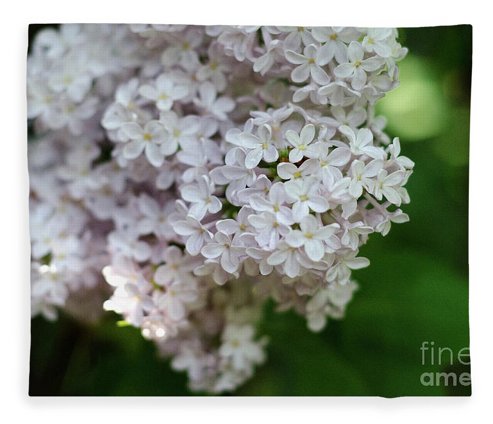 Lilac Fleece Blanket featuring the photograph White Lilacs by Laurel Best