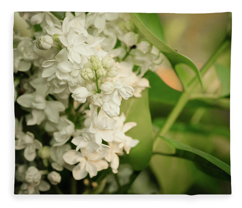 Illinois Fleece Blanket featuring the photograph White Lilacs on soft Green Macro Close-up by Joni Eskridge