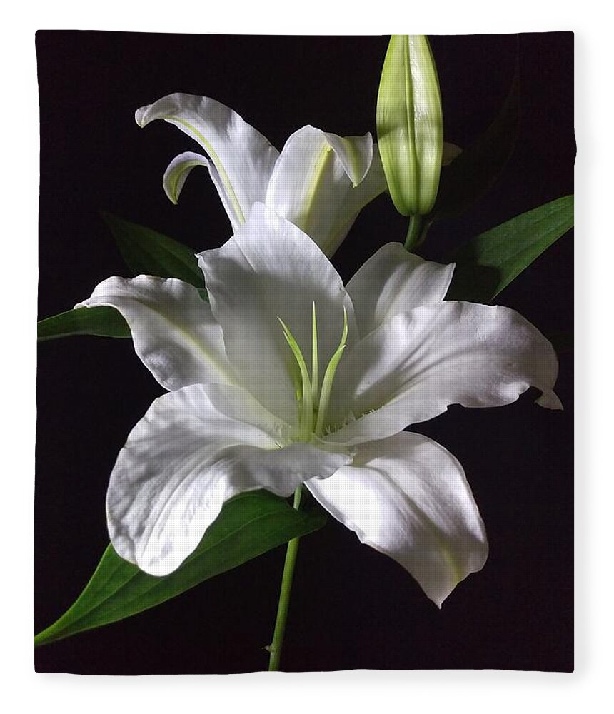 Photography Fleece Blanket featuring the photograph White Lily by Delynn Addams