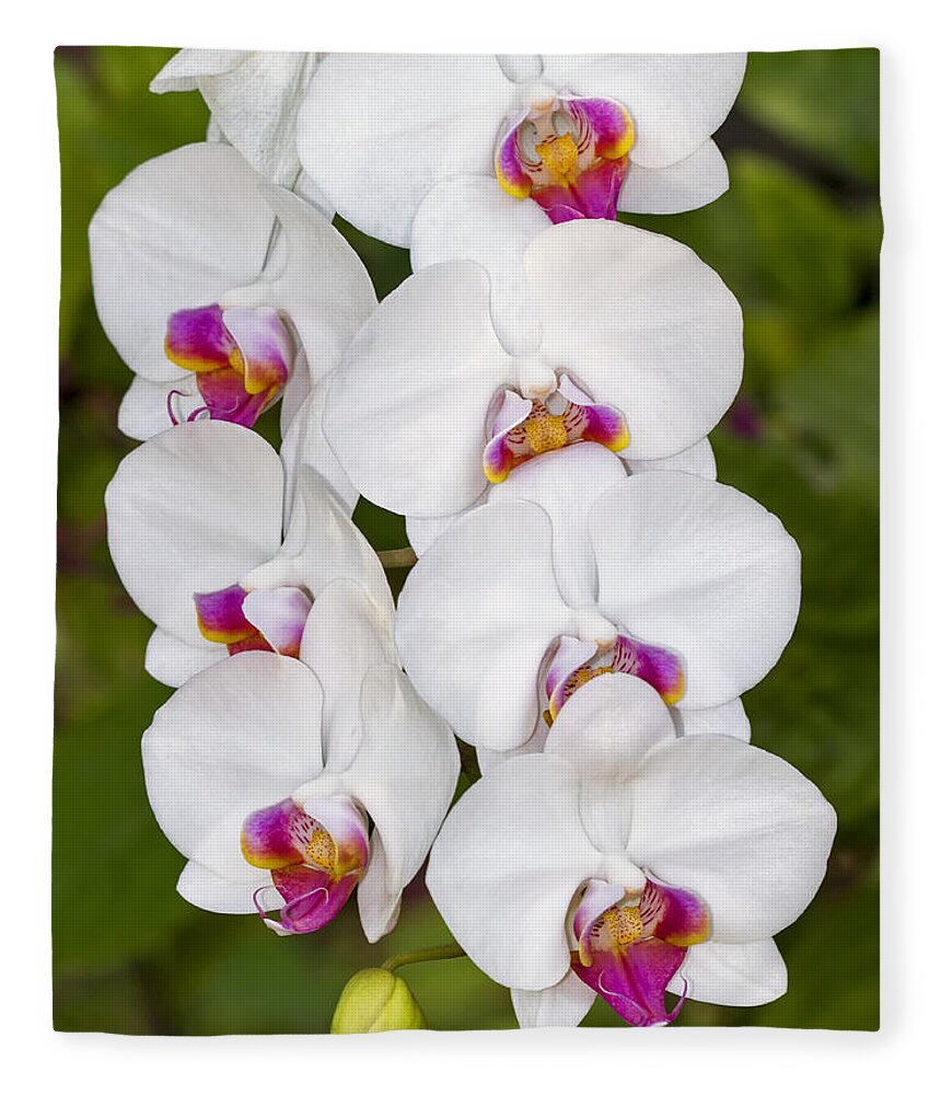 Flower Fleece Blanket featuring the photograph White Orchids by Bob Slitzan