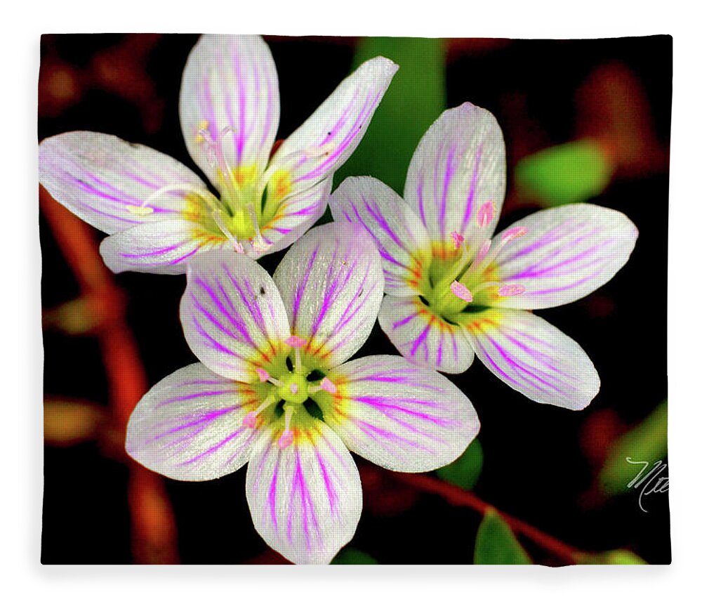 Macro Photography Fleece Blanket featuring the photograph Virginia Spring Beauty Flower by Meta Gatschenberger