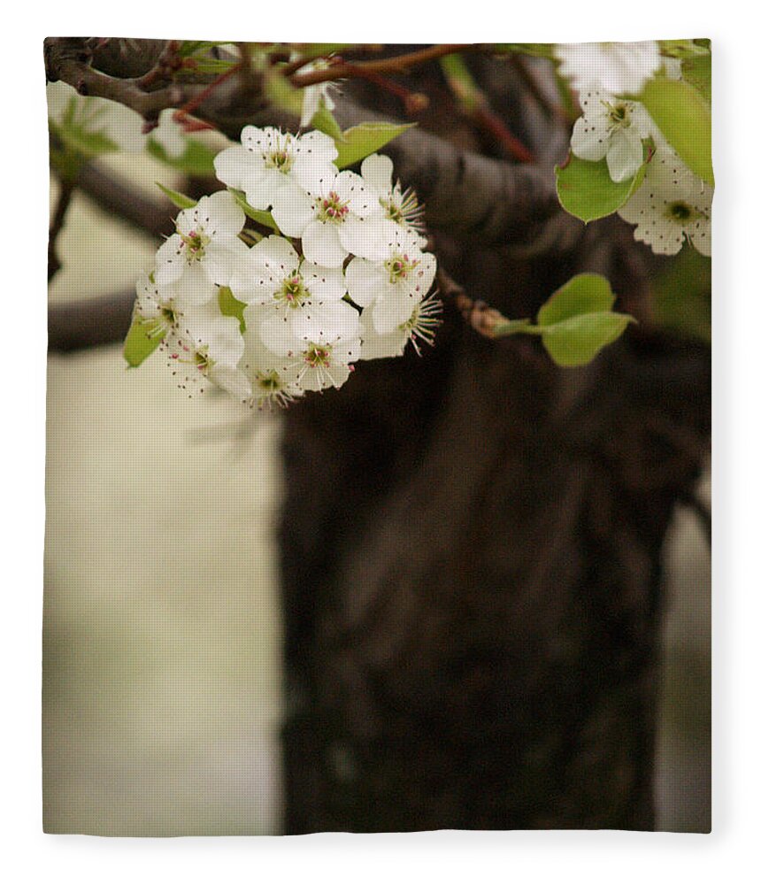 Flowers Fleece Blanket featuring the photograph White Spring Blossoms II by Dorothy Lee