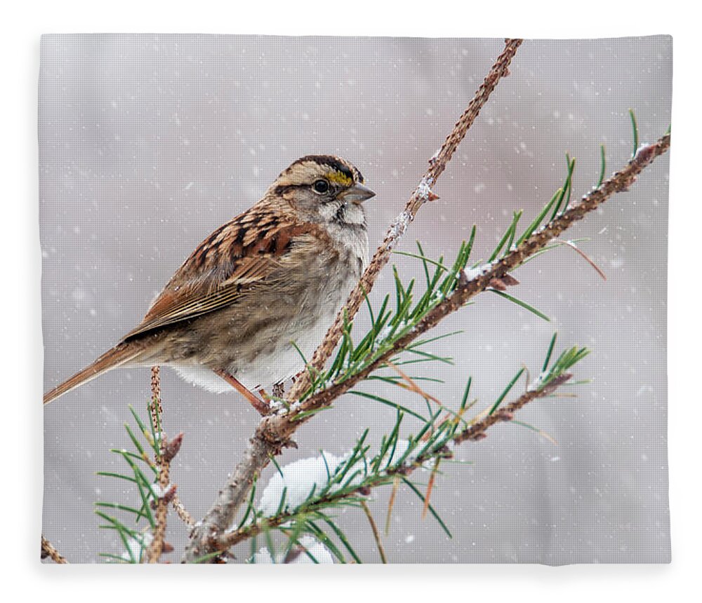 Bird Fleece Blanket featuring the photograph White Throated Sparrow by Cathy Kovarik