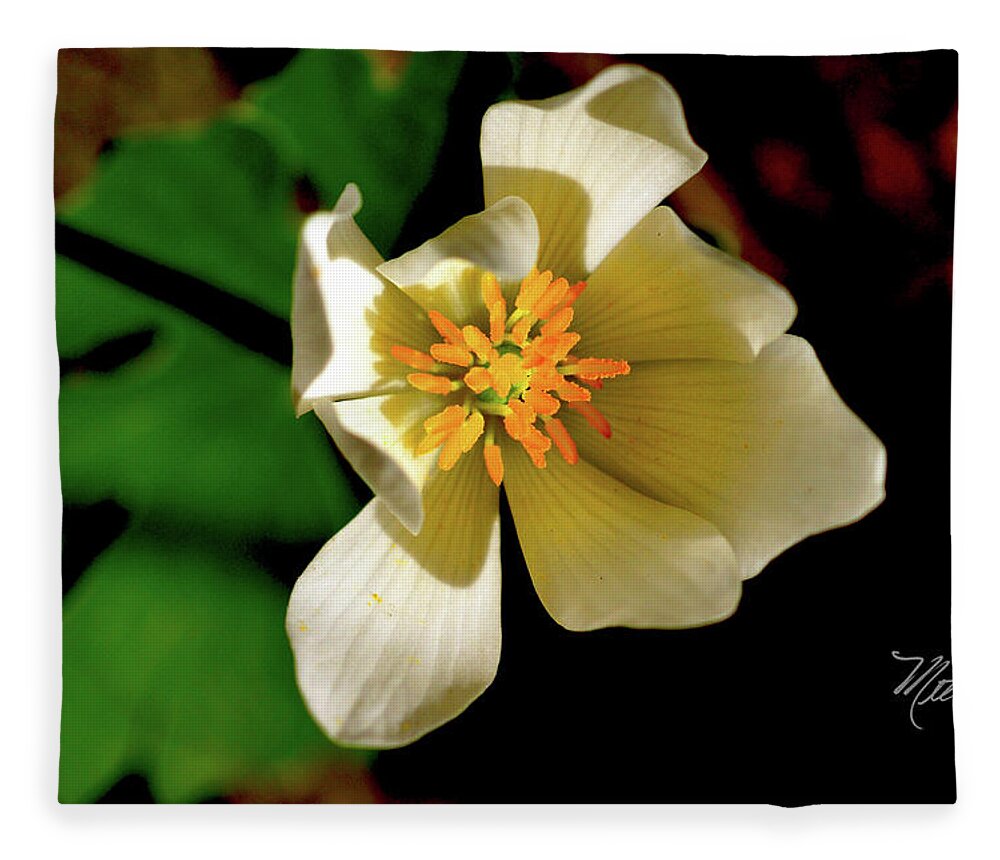 Macro Photography Fleece Blanket featuring the photograph Bloodroot White Flower by Meta Gatschenberger