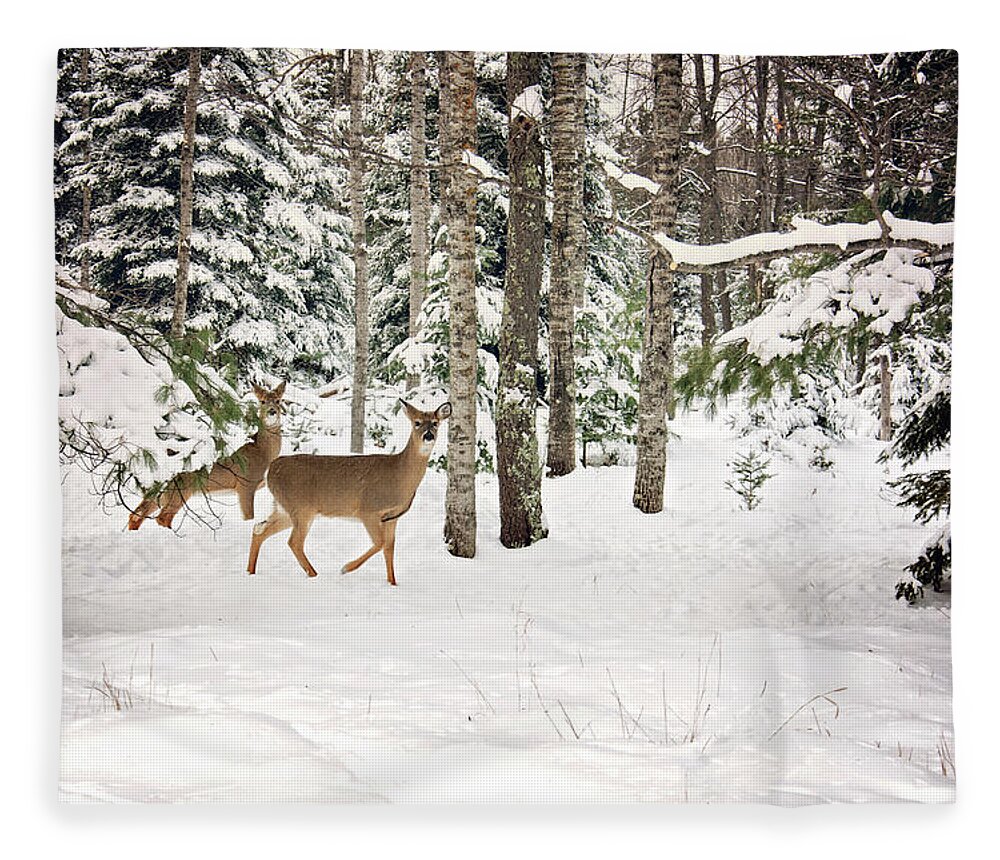 Whitetail Deer In Woods Fleece Blanket featuring the photograph Whitetail Deer Winter Stroll by Gwen Gibson
