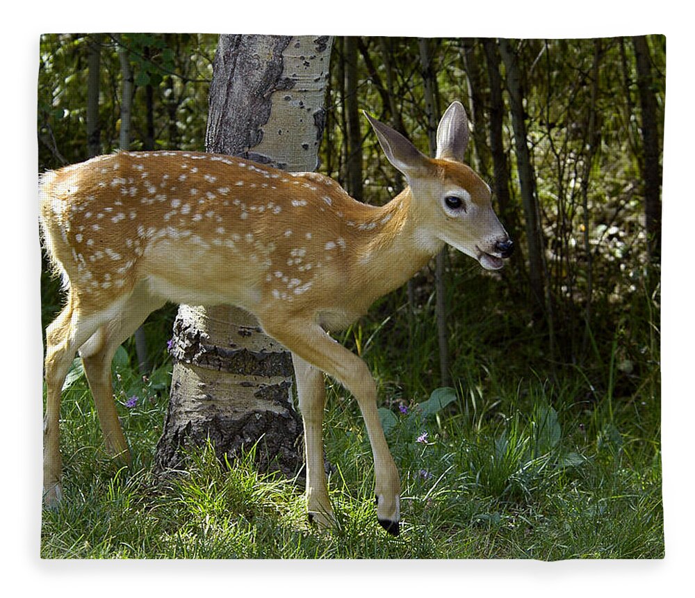 Fawn Fleece Blanket featuring the photograph Whitetail Fawn by Gary Beeler