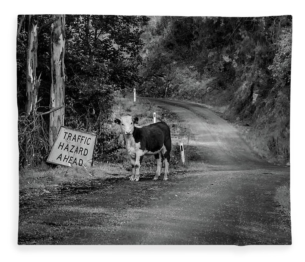 Australia Fleece Blanket featuring the photograph Who Me by Az Jackson