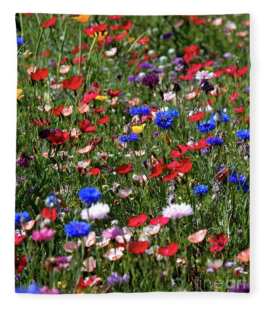 Flowers Fleece Blanket featuring the photograph Wild Flower Meadow 2 by Baggieoldboy