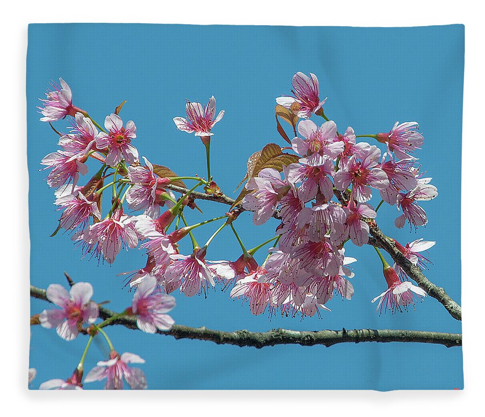 Nature Fleece Blanket featuring the photograph Wild Himalayan Cherry DTHN0220 by Gerry Gantt