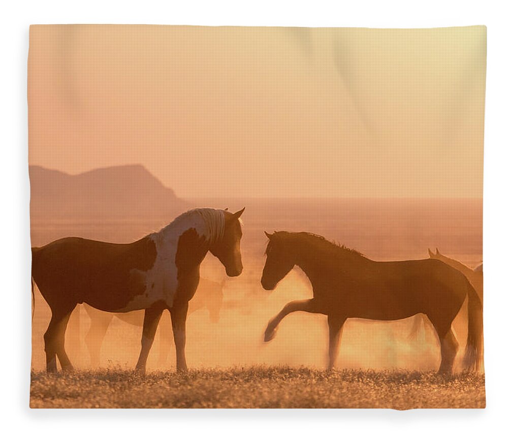 Horse Fleece Blanket featuring the photograph Wild Horse Glow by Wesley Aston