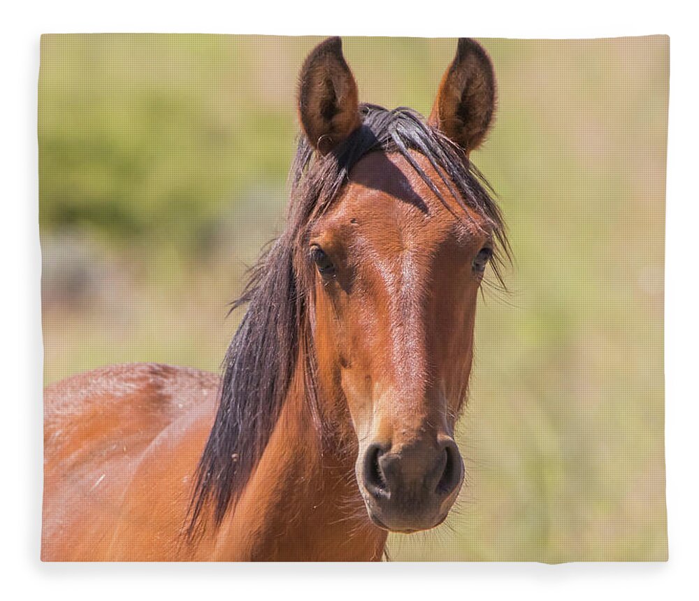 Nevada Fleece Blanket featuring the photograph Wild Horse Stare by Marc Crumpler