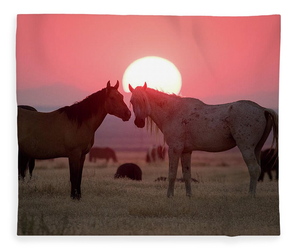 Wild Horse Fleece Blanket featuring the photograph Wild Horse Sunset by Wesley Aston