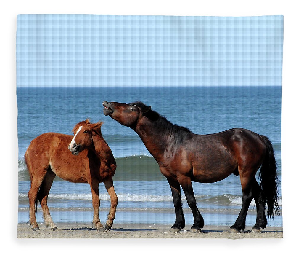 Wild Fleece Blanket featuring the photograph Wild Horses on Beach by Ted Keller