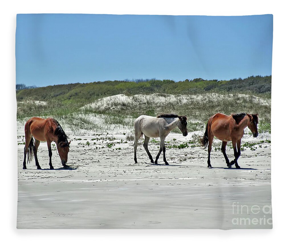 Wild Horse Fleece Blanket featuring the photograph Wild Horses On The Beach by D Hackett