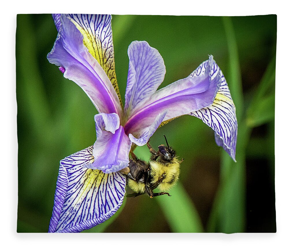 Wild Iris Fleece Blanket featuring the photograph Wild Iris With Bee by Paul Freidlund