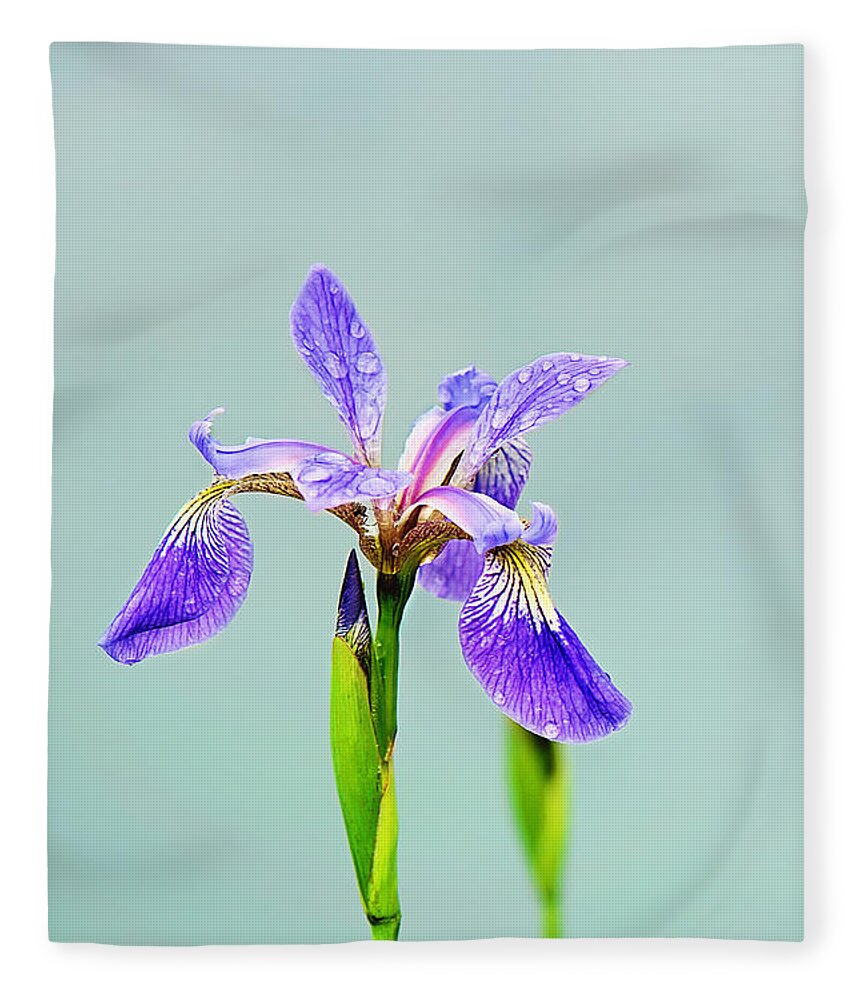 Wild Iris Photo Fleece Blanket featuring the photograph Wild Purple Iris Print by Gwen Gibson