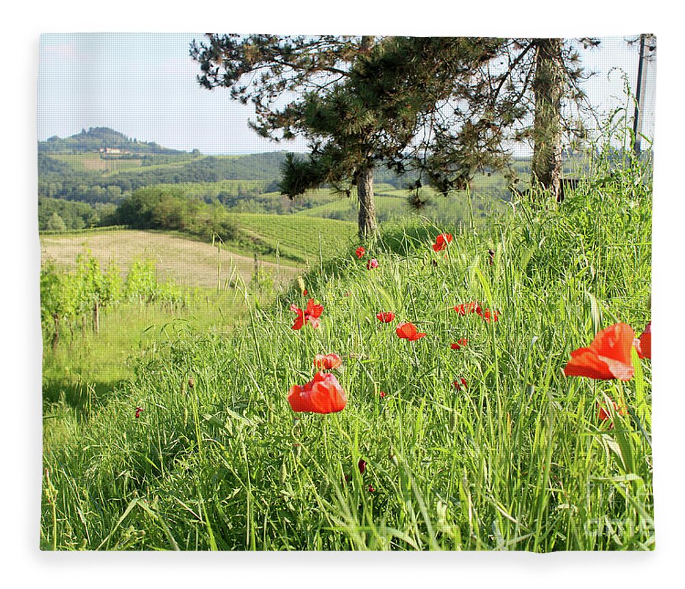 Poppy Fleece Blanket featuring the photograph Wild Red Poppies over Italian vineyard and farm in Tuscany by Adam Long