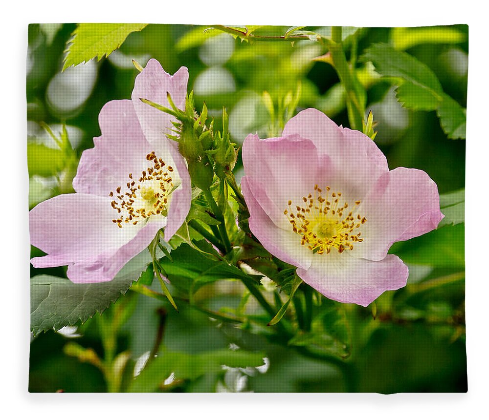 Wild Roses Fleece Blanket featuring the photograph Wild Roses. Duo. by Elena Perelman