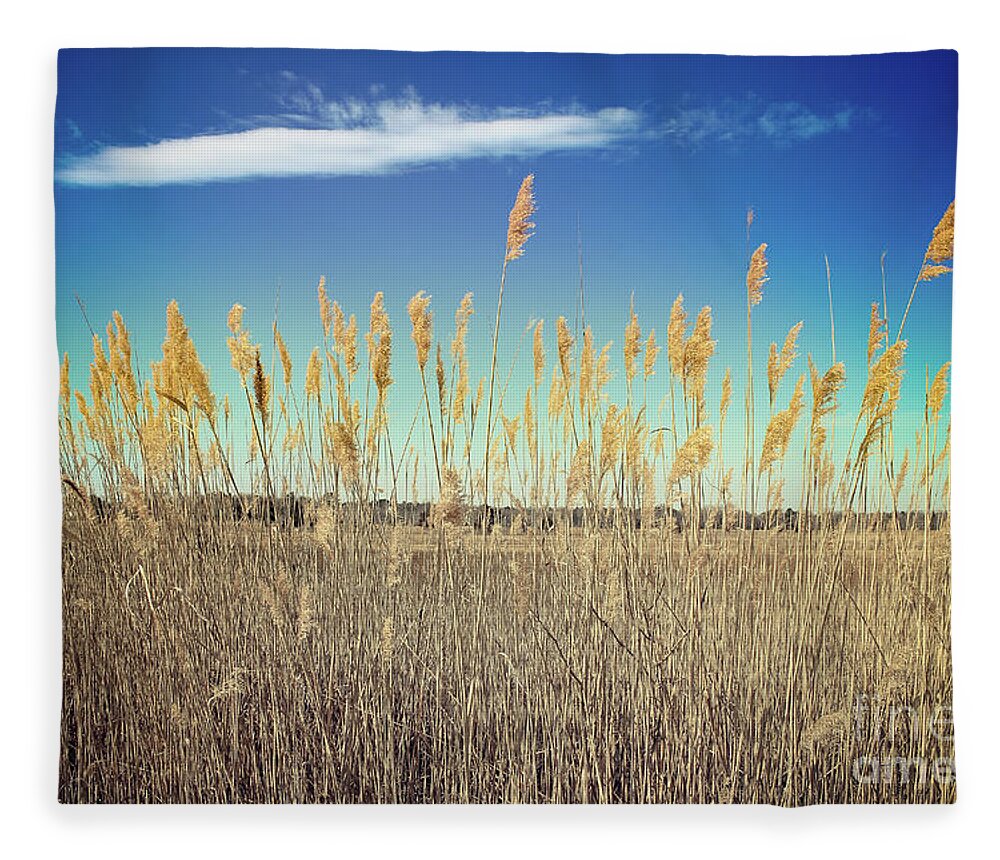 Nature Fleece Blanket featuring the photograph Wild Sea Oats by Colleen Kammerer