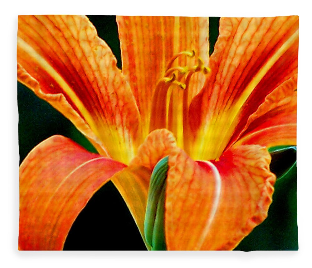Flowers Fleece Blanket featuring the photograph Wild Tiger Lily by Steven Huszar