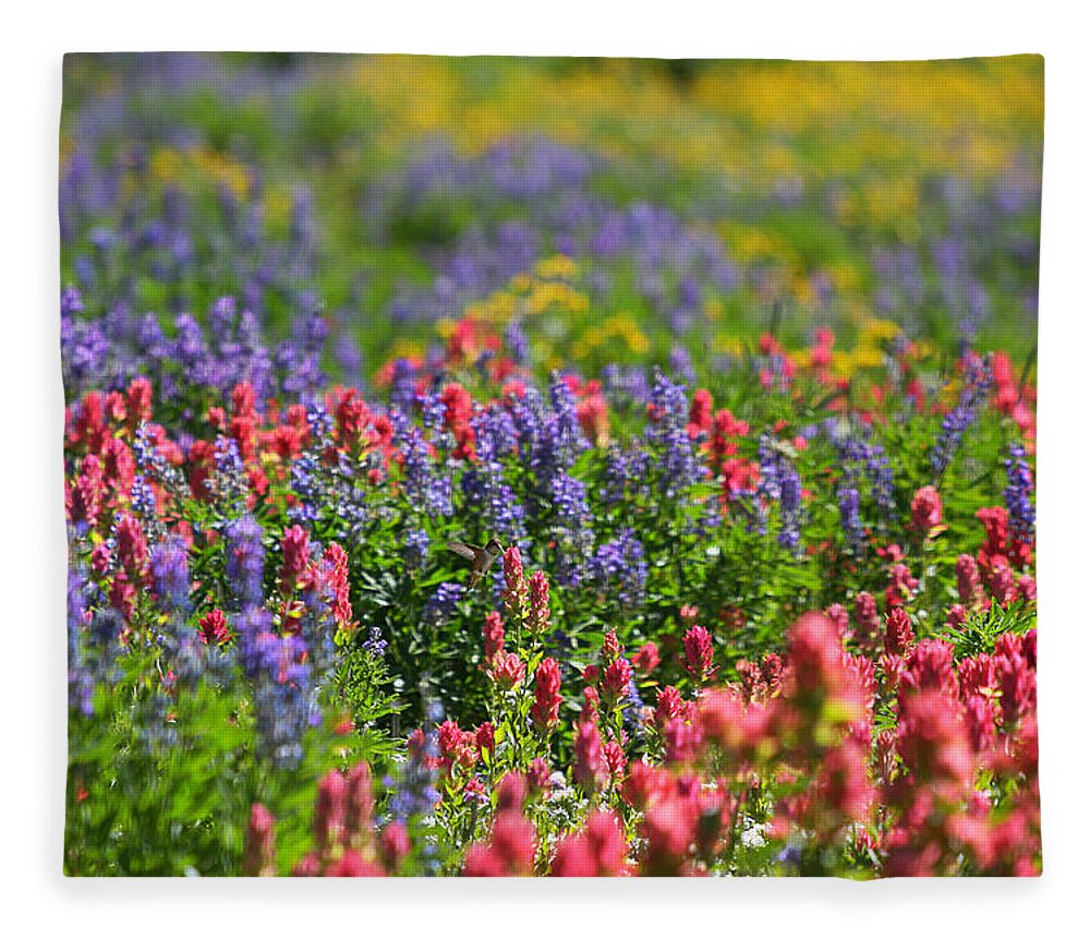 Wildflower Fleece Blanket featuring the photograph Wildflower Meadow and Hummingbird by Brett Pelletier