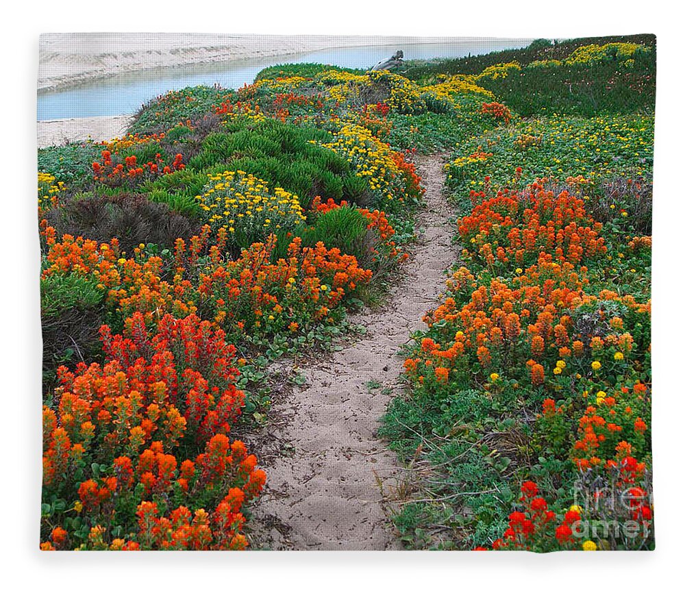 Wildflower Fleece Blanket featuring the photograph Wildflower Path at Ribera Beach by Charlene Mitchell
