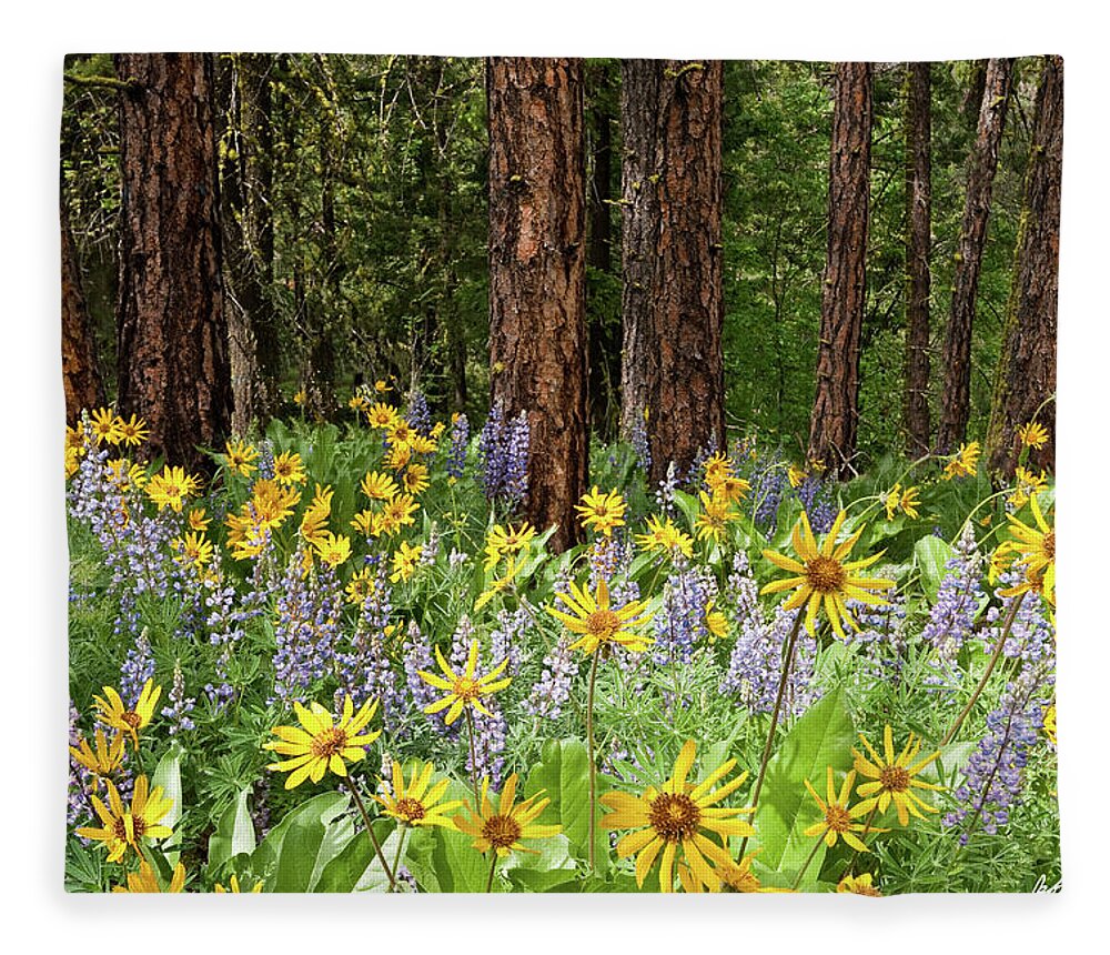 Arrowleaf Balsamroot Fleece Blanket featuring the photograph Balsamroot and Lupine in a Ponderosa Pine Forest by Jeff Goulden