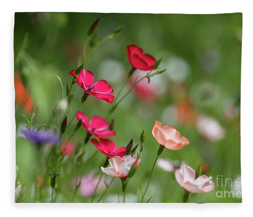 Summer Fleece Blanket featuring the photograph Wildflowers Meadow by Eva Lechner