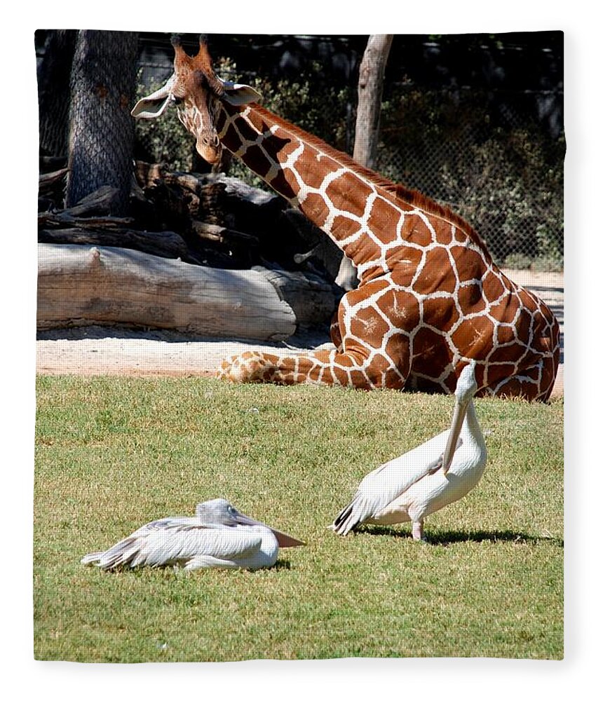 Ft. Worth Zoo Fleece Blanket featuring the photograph Wildlife Enjoys the Sun by Kenny Glover