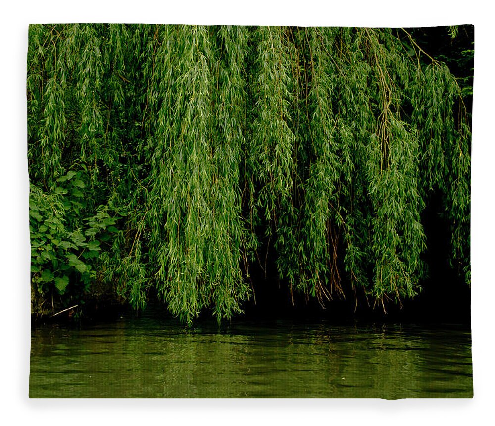 Willows Fleece Blanket featuring the photograph Willows weeping over waters. by Elena Perelman