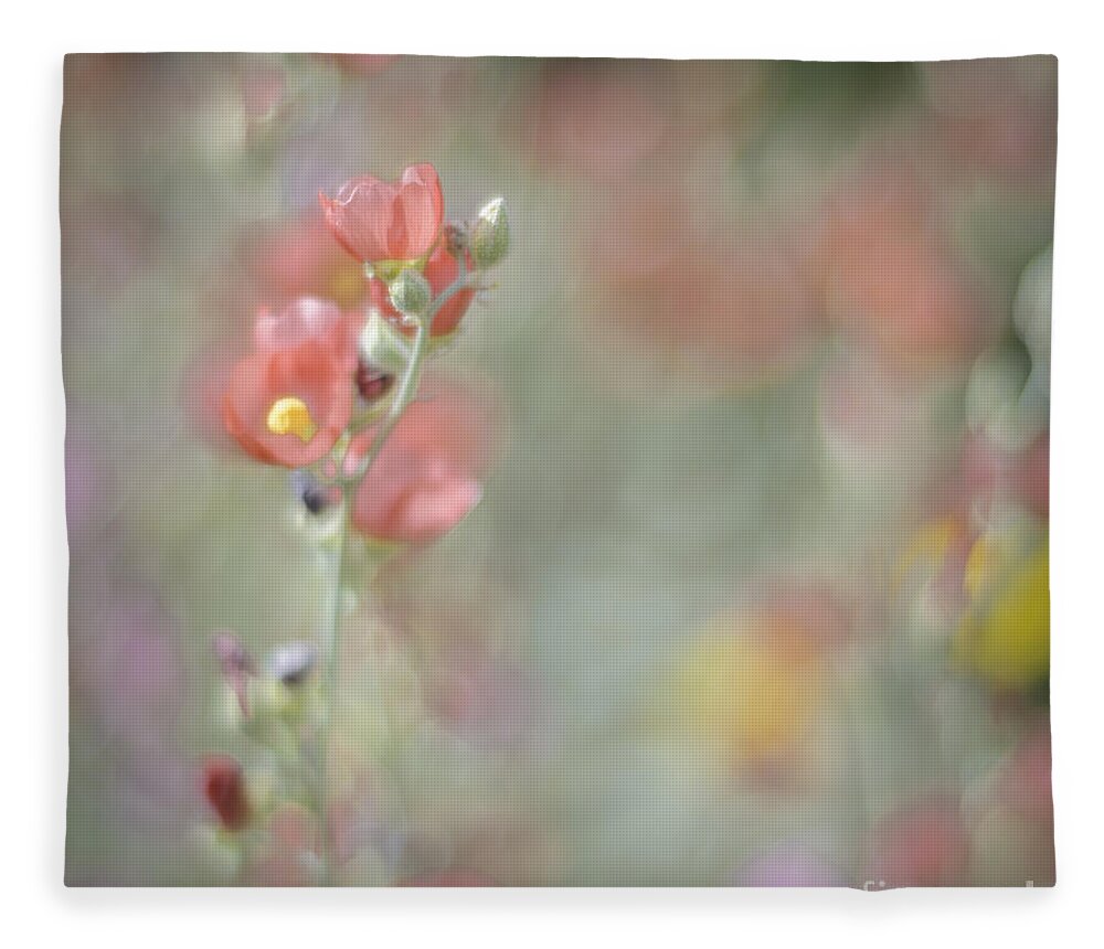 Wildflowers Fleece Blanket featuring the photograph Globemallow Impressionism by Tamara Becker
