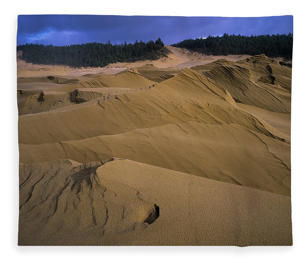 Coast Fleece Blanket featuring the photograph Wind Works by Robert Potts
