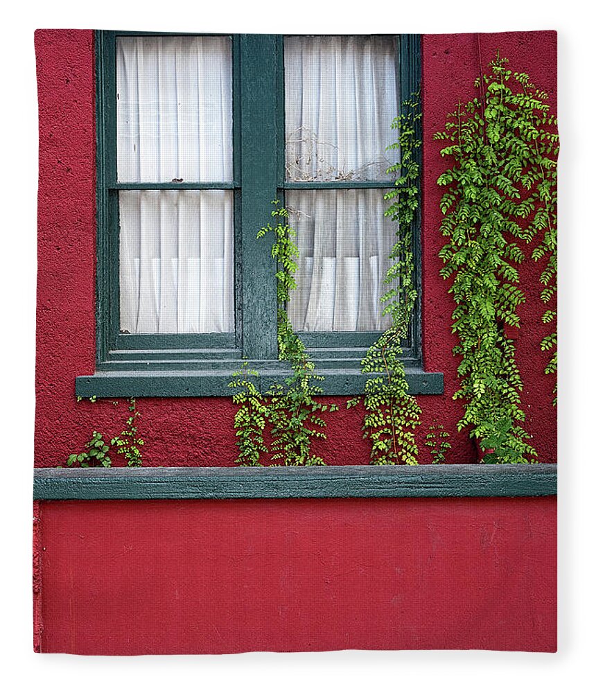 Window Fleece Blanket featuring the photograph Window and VInes by Christopher Holmes