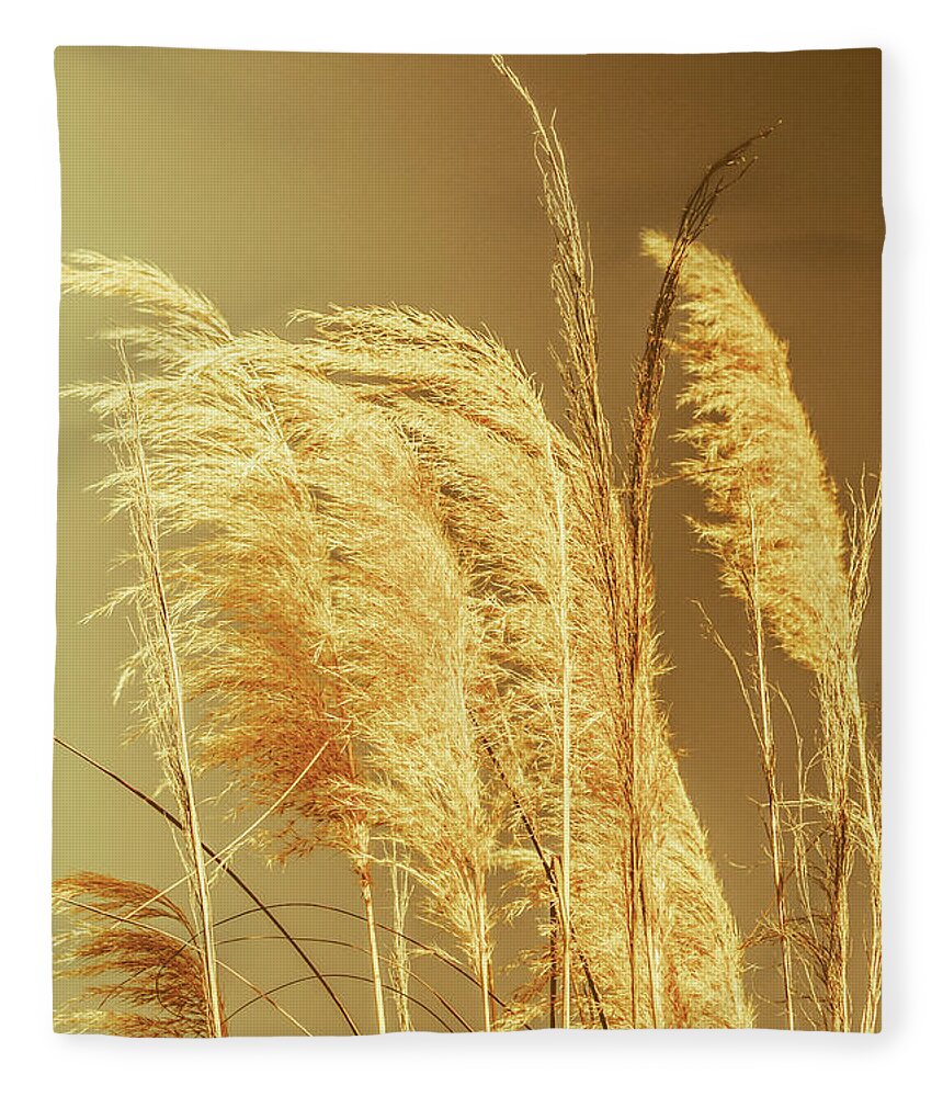 Dry Fleece Blanket featuring the photograph Windswept autumn brush grass by Jorgo Photography