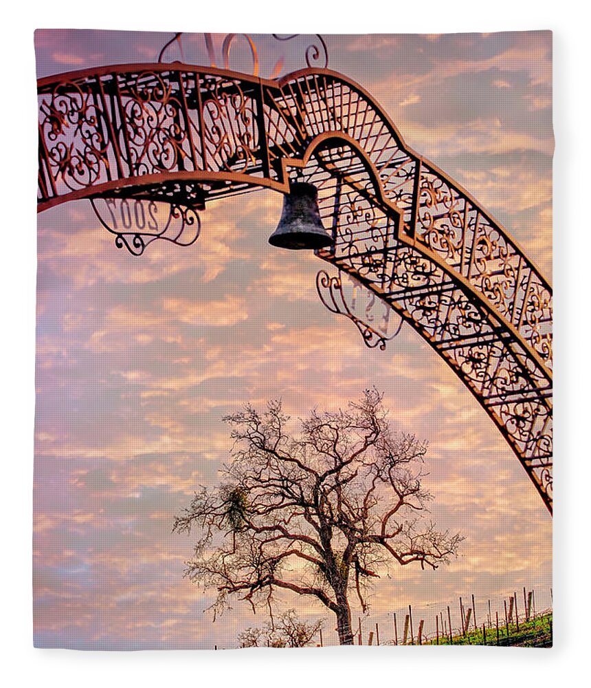 Winery Gate Fleece Blanket featuring the photograph Winery Gate by Endre Balogh